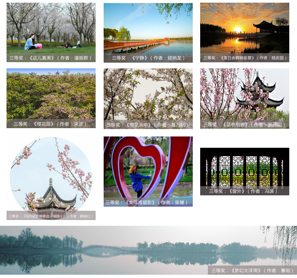 专业组三等奖.jpg