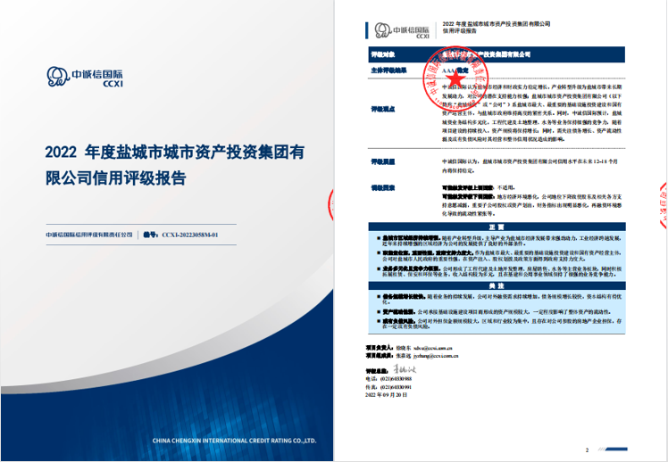 中诚信评级报告.png